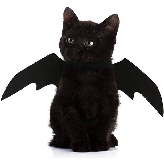 Halloween Cute Pet Clothes Black Bat